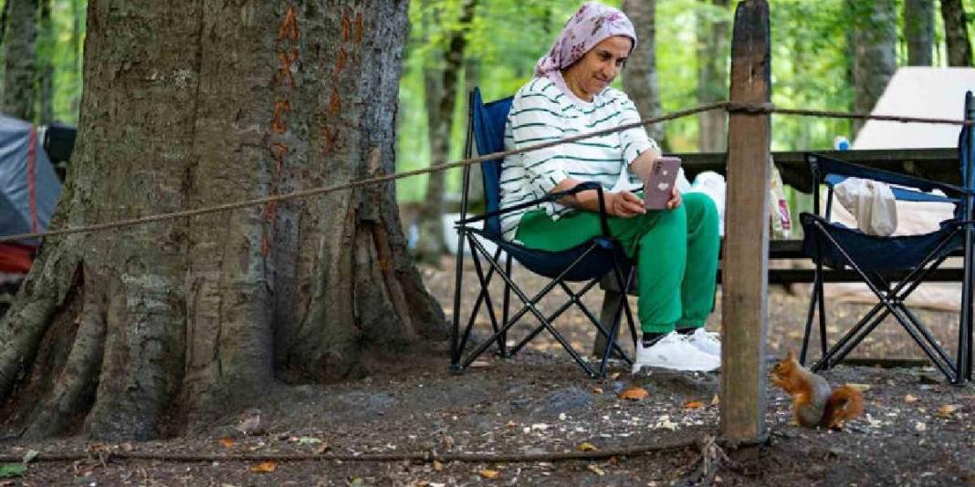 Sonbaharın kalbi burada atıyor! Tüm Türkiye’nin akın ettiği adres: Renk cümbüşü kendini gösterdi 3